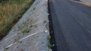 Straßenansicht mit Wald im Hintergrund im Tiefbauprojekt Schweiz