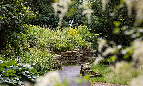 gepflasterter Gehweg zwischen einer grünen Wiese und Blumen